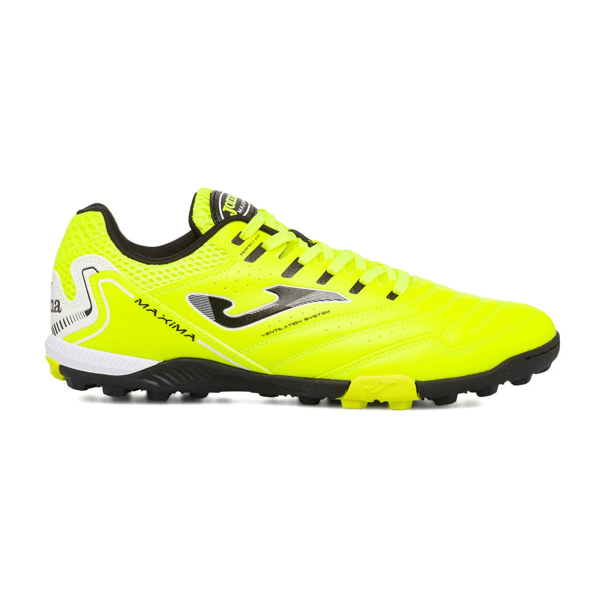 JOMA MAXIMA - Indoor - SAITTA Shop